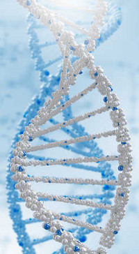 DNA Testing Determigene