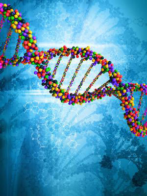 DNA Testing Determigene